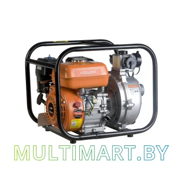 Мотопомпа Sturm BP8760VD картинка 2